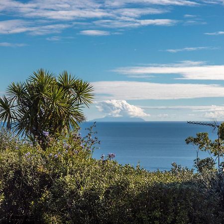 Belle View - Stay Waiheke Onetangi Экстерьер фото